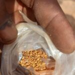 Mineral - Gold