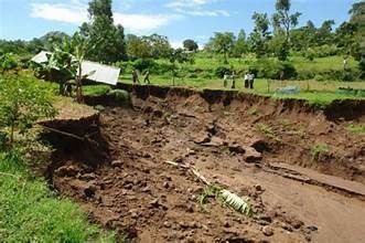 surface runoff